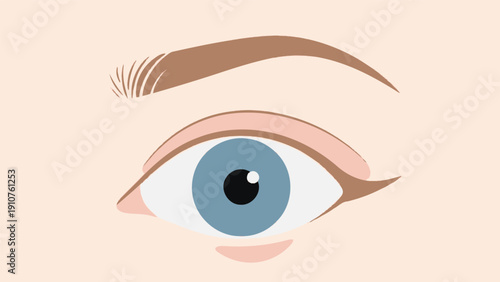 Blue Human Eye with Eyebrow Illustration.
