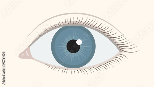 Blue Human Eye with Eyelashes Closeup.