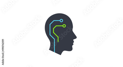 Digital human head with circuit.