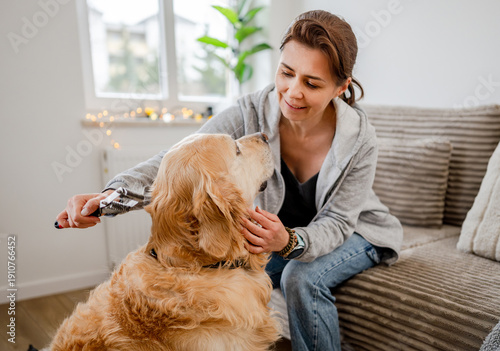Wallpaper Mural Woman Brushing Golden Retriever Dog Torontodigital.ca