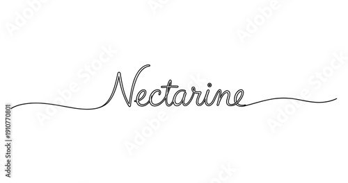 Elegant handmade cursive text of nectarine on white background. No editable strokes