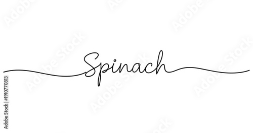 Elegant spinach script font on white background. No editable strokes