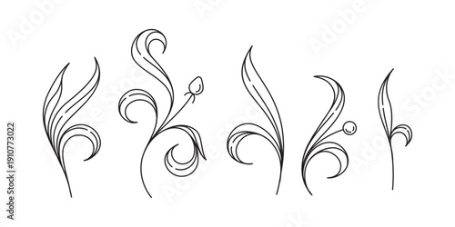Abstract floral elements. Black and white decorative plant shapes
