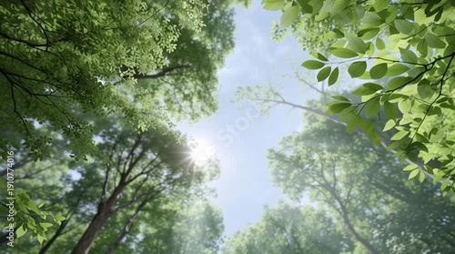 Wallpaper Mural Lush green leaves under sunlight in a serene forest setting Torontodigital.ca