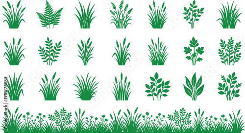 Green Grass and Plant Silhouette Collection, Vector Nature Elements Set, Garden Weeds and Meadow Herbs Graphics for Landscape Design and Illustration.