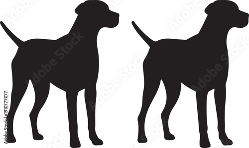 Dog Silhouette: Capturing the sleek outline of a canine companion, this image presents two silhouettes of a dog in a moment of stillness.