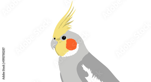 A grey and yellow cockatiel illustration on a white background viewed from the side