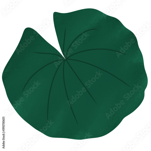 Lily pad icon Lily cartoon vector on white background	