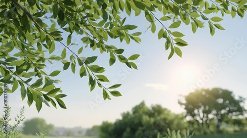 Wallpaper Mural Lush green leaves against a bright sky and serene landscape. Torontodigital.ca