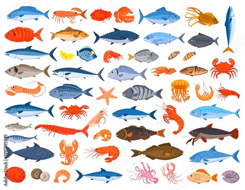 Diverse Collection of Marine Life - Fish, Crustaceans, and More.