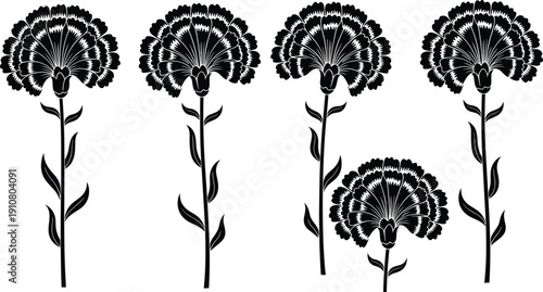 Flower silhouette illustration set, five black icons carnation style blossoms stems leaves varied growth design, vector artwork, nature and botanical theme, isolated background