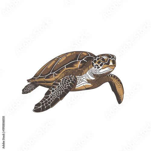 Sea Turtle Swimming in Water.