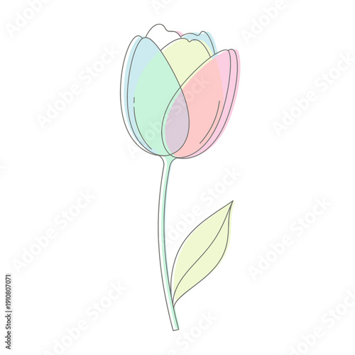 Pastel Tulip Illustration with Leaf.