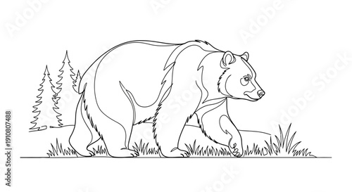Grizzly Bear Walking Outline Illustration - Wildlife Animal Art
