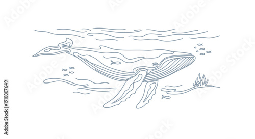Line Art Blue Whale Swimming Underwater with Small Fish and Seaweed