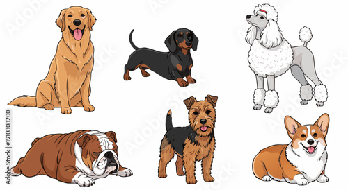 Collection of dog breeds vector illustration, adorable canine pets