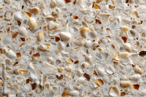 Natural Shell Texture for Background or Decoration
