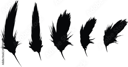 Collection of five black feathers on white background