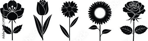Black and white botanical illustrations of various flower species