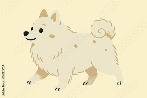 Spitz. Small cute fluffy dog. Vector cartoon isolated illustration