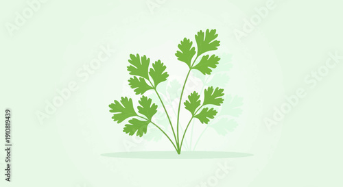 Green cilantro herb illustrated on a light green backdrop