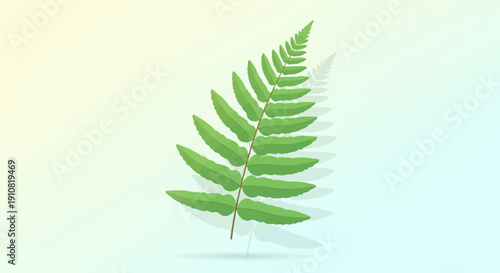 Green fern frond casting a stylized shadow on a soft gradient