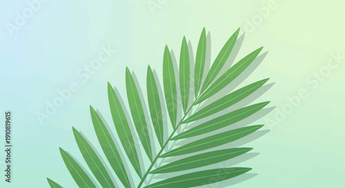 Green palm frond casting soft shadows on a blue-green gradient background