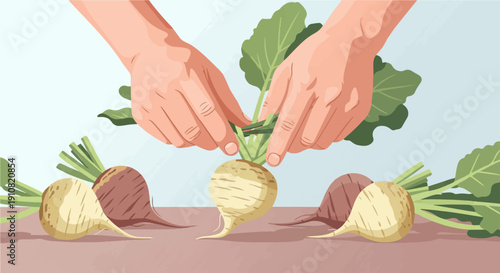 Hands tending to freshly harvested root vegetables on a flat surface