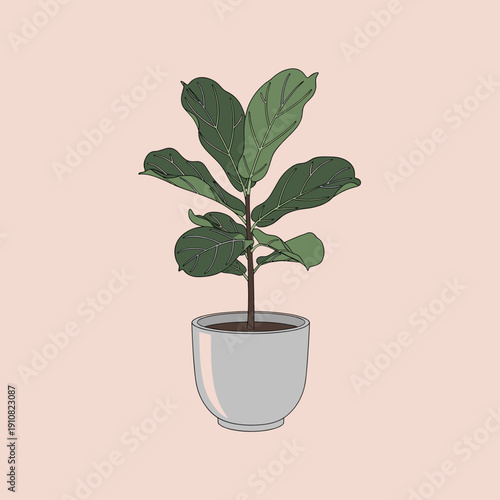 A detailed illustration of a fiddle-leaf fig plant in a white pot against a soft pink background.