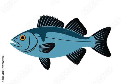 A vibrant blue fish with black fins and yellow eye swimming in the ocean water.
