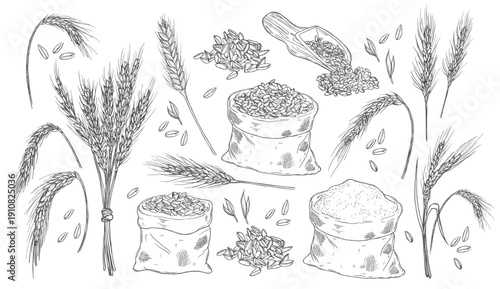 Detailed hand drawn sketches of wheat stalks, bundles, grains, and a burlap sack of flour for agricultural and baking concepts.