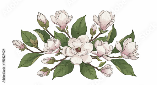 Elegant watercolor illustration of blooming magnolia flowers and green leaves.