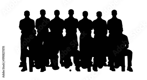 A silhouette illustration of a group of people posing in a formation with a standing and seated row isolated on transparent background, Vector