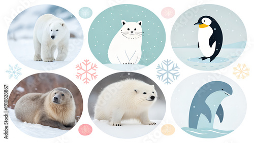 polar bears in the snow