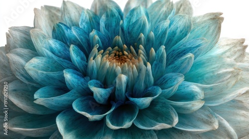 Close-up of a vibrant, multi-petaled flower with a gradient of blues, turquoise, and touches of cream. Central core is warm, tan