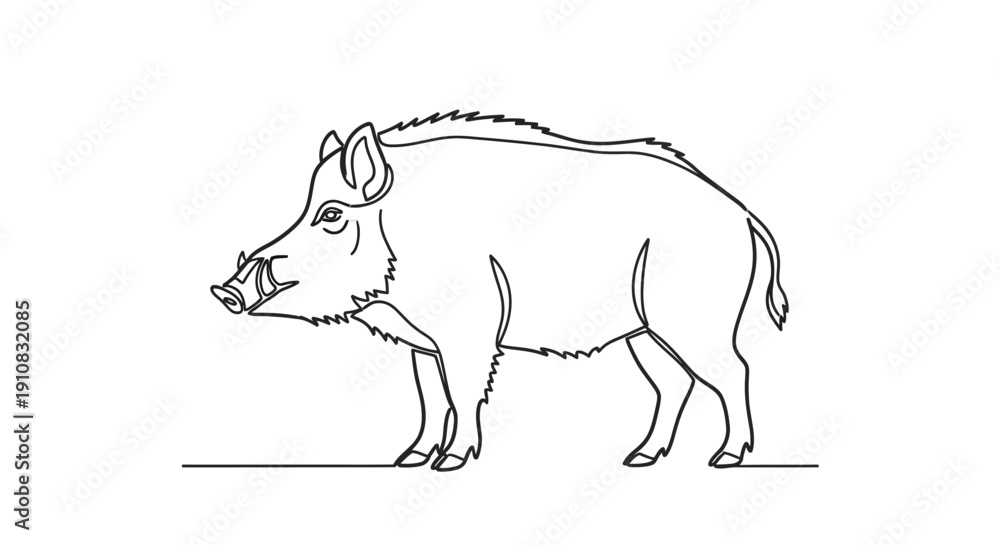 Fototapeta premium Wild Boar Line Art Drawing - Simple Vector Illustration