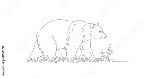 Line Art Drawing of a Grizzly Bear Walking in Grassy Field