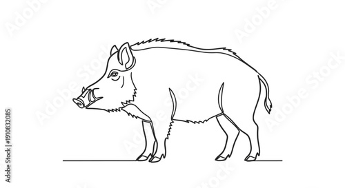 Wild Boar Line Art Drawing - Simple Vector Illustration