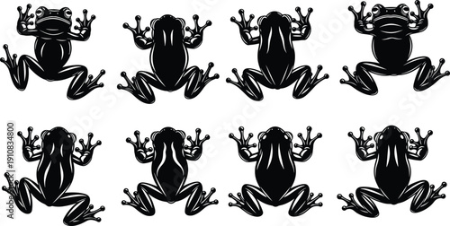 Black frog silhouette set in multiple poses, amphibian vector collection isolated on white background for logo, tattoo and graphic design