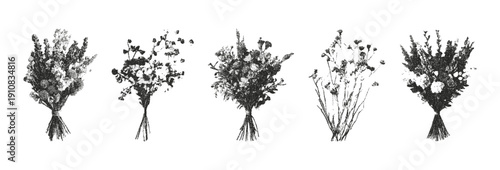 Trendy dried flowers bouquets retro photocopy effect. The effect of grain and dotted lines. Vector illustration for mixed media design isolated on transparent background.