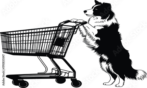 Funny black and white silhouette of Border Collie dog pushing shopping cart with paws, humorous pet shopping scene, cute animal vector illustration