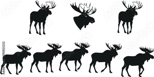 Moose silhouette set in standing and walking poses, wild forest animal vector collection isolated on white background for design