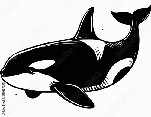 Ocean’s Apex Predator line art drawing sketch vector hand drawn illustration svg