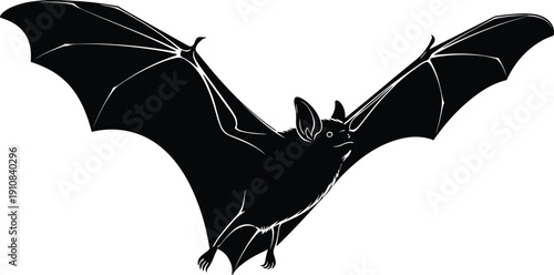 Silhouette of bat flying with wings extended, detailed vector illustration symbolizing nocturnal wildlife, nature, Halloween, animal design
