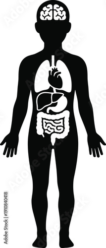 Human anatomy silhouette with brain lungs heart digestive organs medical education healthcare concept isolated black vector illustration design