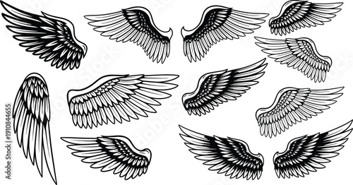 Stylized wing vector illustration set, decorative feather artwork collection, abstract angel bird designs, creative tattoo motif, fantasy symmetrical pattern