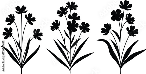 Black floral silhouette vector set with decorative wild flowers and leaves isolated on white background for botanical design elements