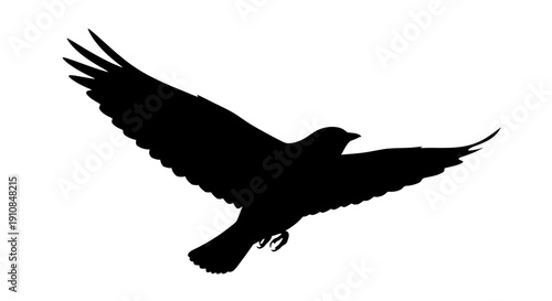 Silhouette of a Raven in Flight Symbol of Mystery and Freedom