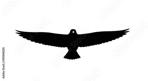 Silhouette of a Majestic Eagle with Wings Spread Wide Against a Clean White Background