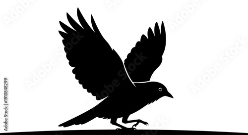 Silhouette of a Bird Taking Flight Against a White Background